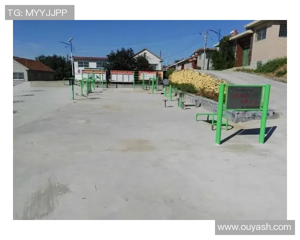 活力四射共建健康社区全民健身运动三秦羽毛球赛在阳庄堡圆满落幕